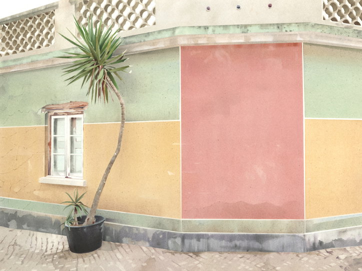 Street-Palm.jpg