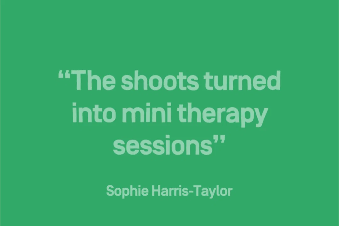 nicer-tuesdays-sophie-harris-taylor-quote.gif