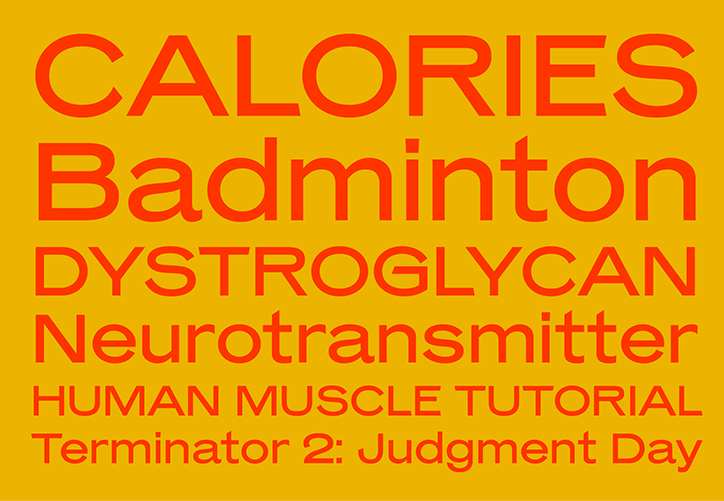 ProductionType-Mars-GraphicDesign-itsnicethat-11.png