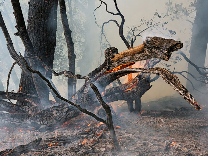 lucas-foglia-photography-itsnicethat-5.jpg