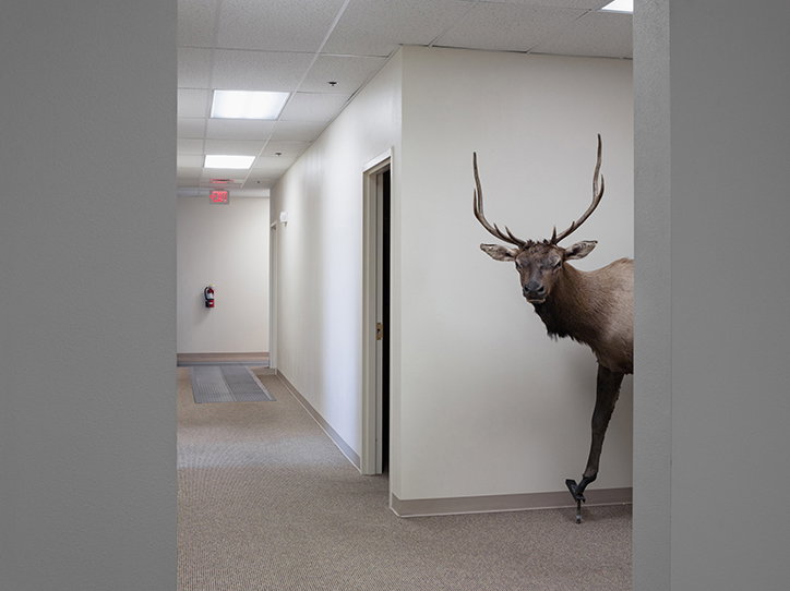 lucas-foglia-photography-itsnicethat-11.jpg