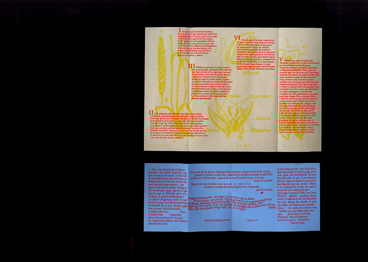we-sow-publication-itsnicethat-6.jpg