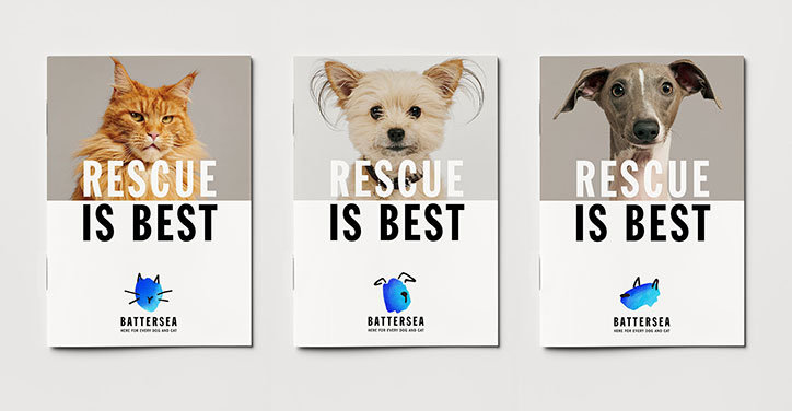 pentagram-battersea-dogs-and-cats-home-rebrand-graphic-design-itsnicethat-5.jpg