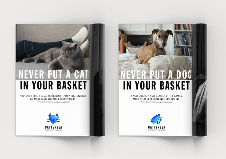pentagram-battersea-dogs-and-cats-home-rebrand-graphic-design-itsnicethat-6.jpg