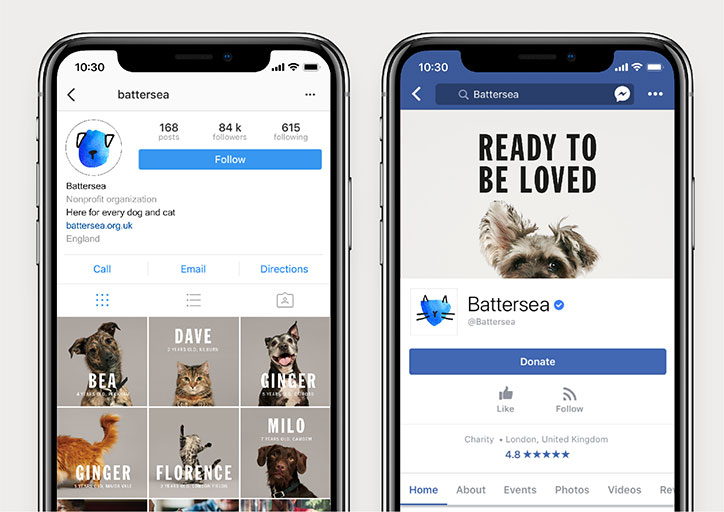 pentagram-battersea-dogs-and-cats-home-rebrand-graphic-design-itsnicethat-7.jpg