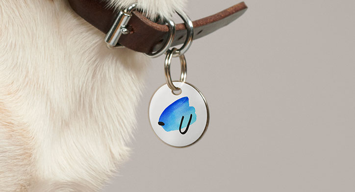 pentagram-battersea-dogs-and-cats-home-rebrand-graphic-design-itsnicethat-8.jpg
