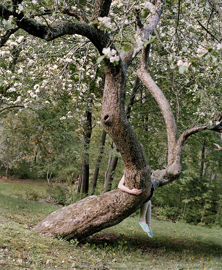 JocelynLee-RidingtheAppleTree-TheAppearanceofThings-Photography-itsnicethat.png