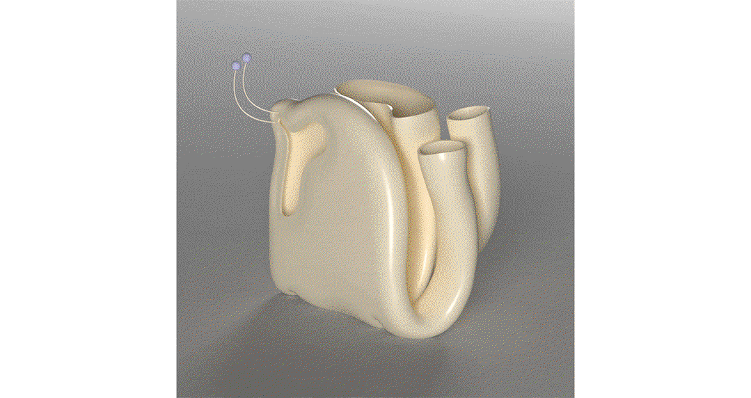 9dropbox_poster_april_nicer_tuesdays_wang_soderstrom_klas_ernflo_itsnicethat.gif