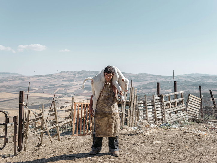 sonyphotographyawards-photography-itsnicethat4.jpg