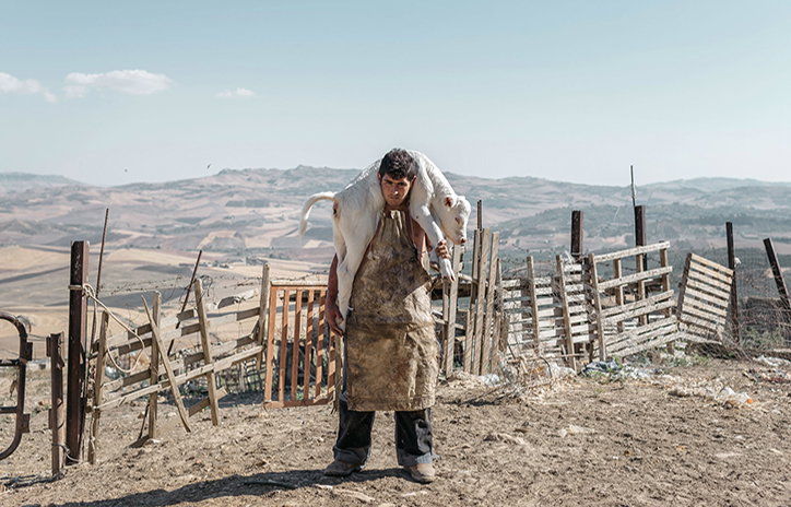 2018 Sony World Photography Awards winners are announced