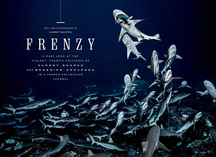 NationalGeographic-Publication-itsnicethat-03.jpg