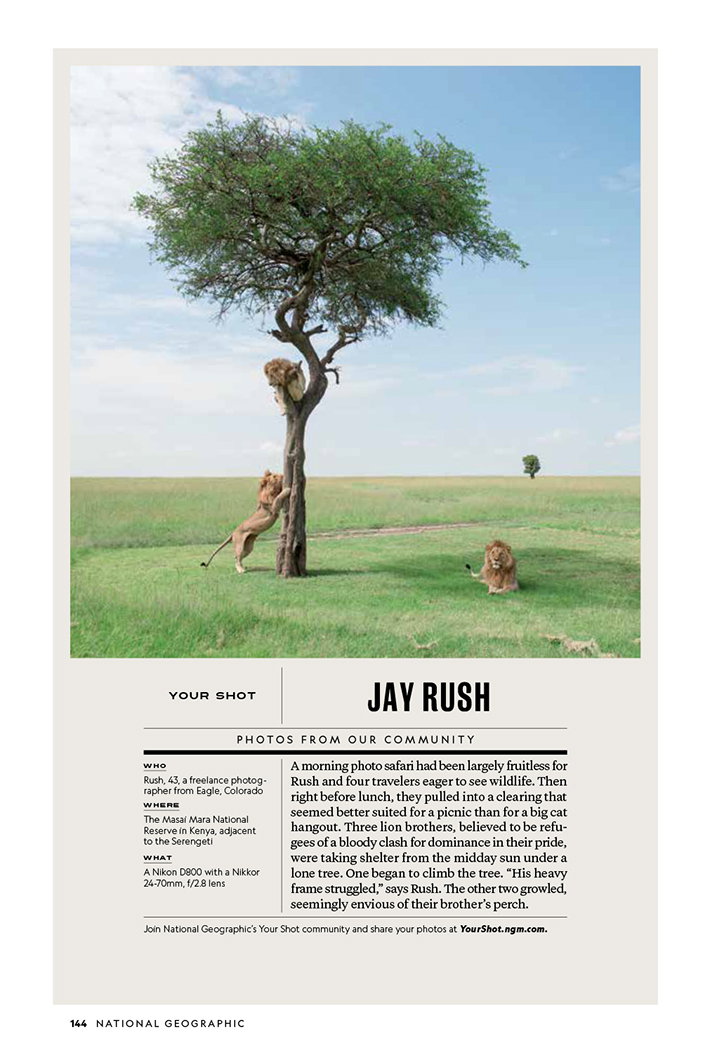 NationalGeographic-Publication-itsnicethat-05.jpg