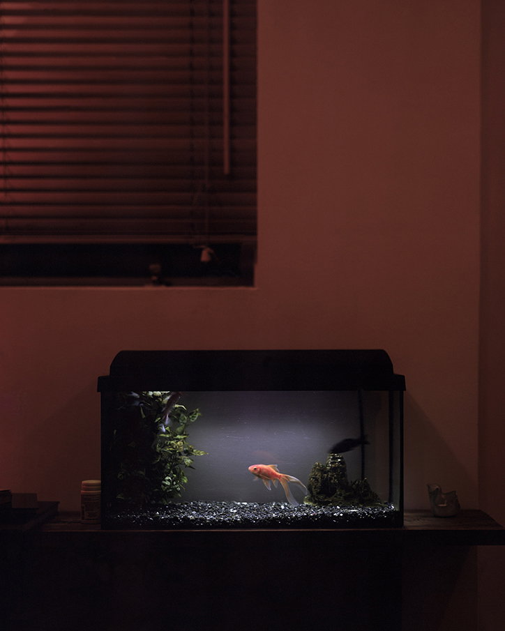 jack-latham-itsnicethat-14.jpg