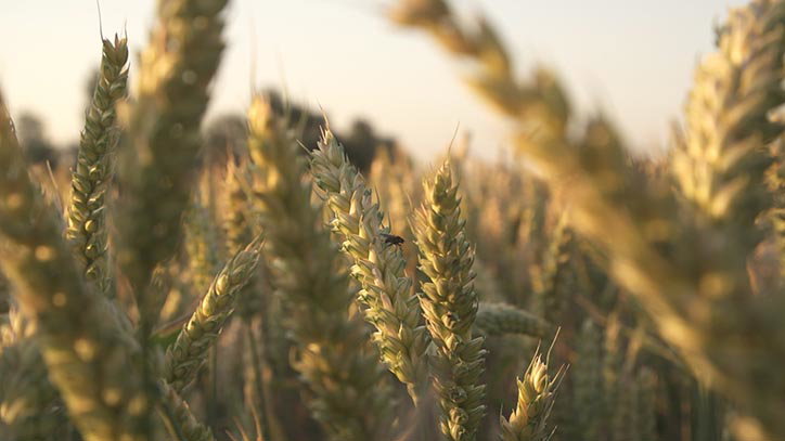 DuncanCowles-It'sNotAmazingEnough-Film-itsnicethat-03.jpg