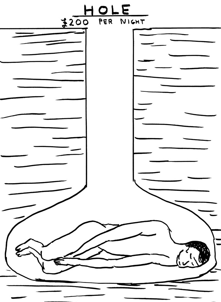 david-shrigley-itsnicethat-fully-coherent-plan-book-Hole-£200-Per-Night-.jpg