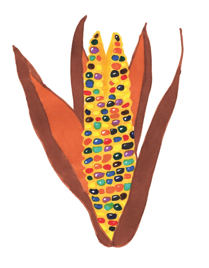 DesignStudio-Wahaca-Illustration-itsnicethat-05.jpg