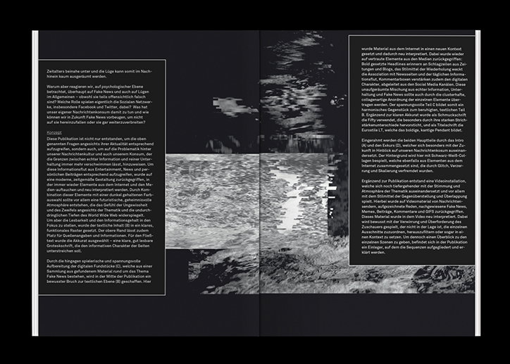 LenaManger-AnnikaSoja-DailyNoise-GraphicDesign-ItsNiceThat-11.jpg