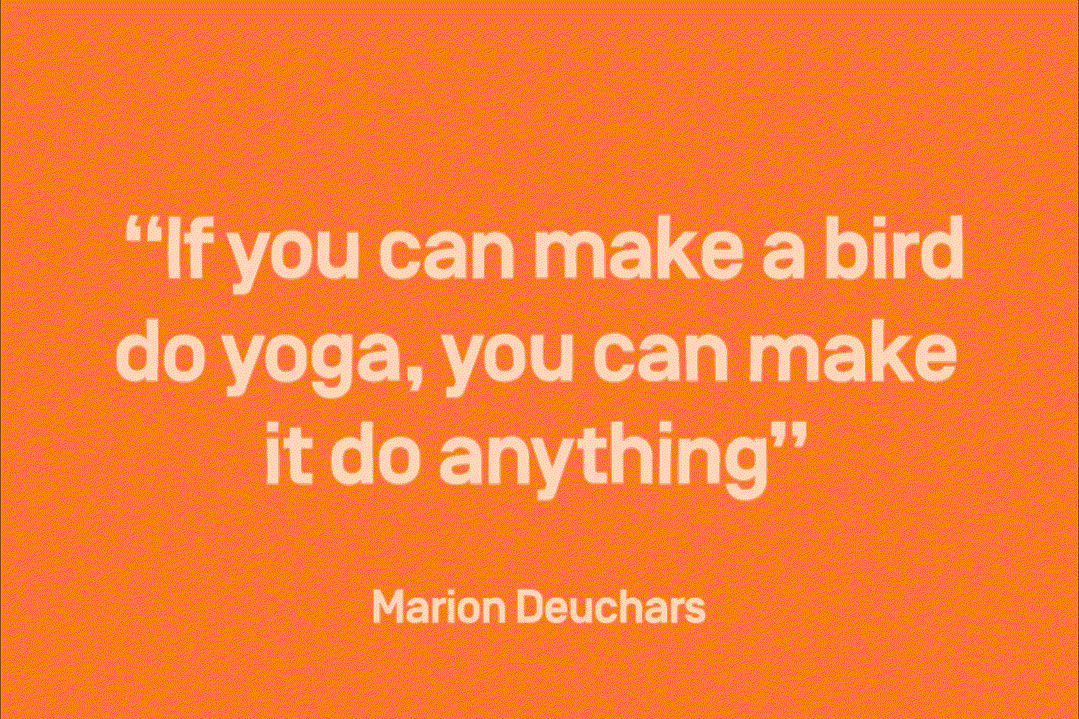 nicer-tuesdays-april-marion-deuchars.gif