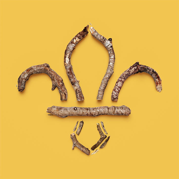 scouts-rebrand-not-on-sunday-graphic-design-itsnicethat-sticks.jpg