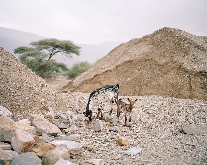 AlexanderMourant-Odyssey-Photography-ItsNiceThat-6.jpg