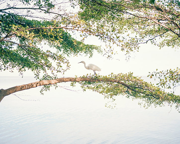 AlexanderMourant-Odyssey-Photography-ItsNiceThat-11.jpg