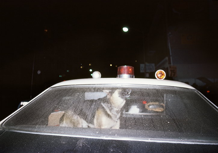 JimJocoy-OrderOfAppearance-Photography-ItsNiceThat-13.jpg