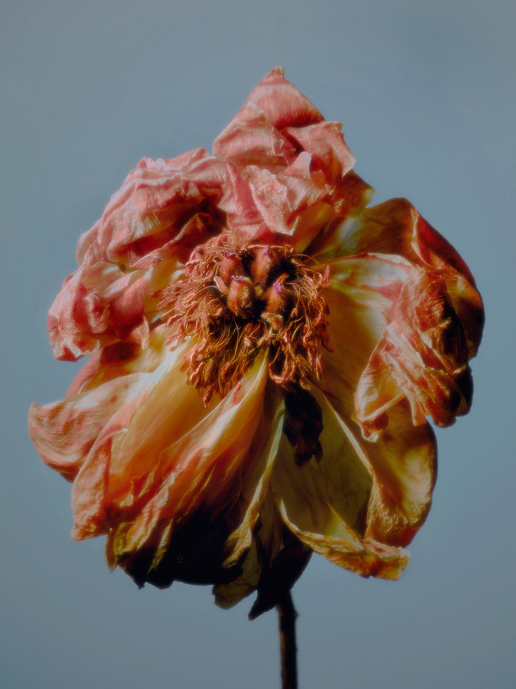 JACQUESBRUN_ITSNICETHAT14.jpg