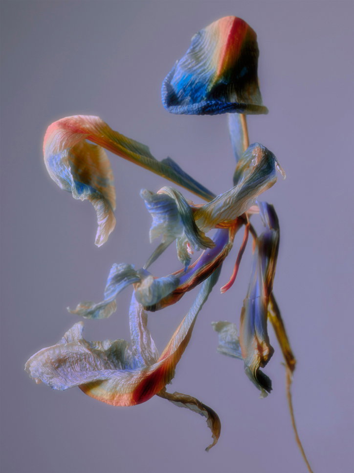 JACQUESBRUN_ITSNICETHAT4.jpg