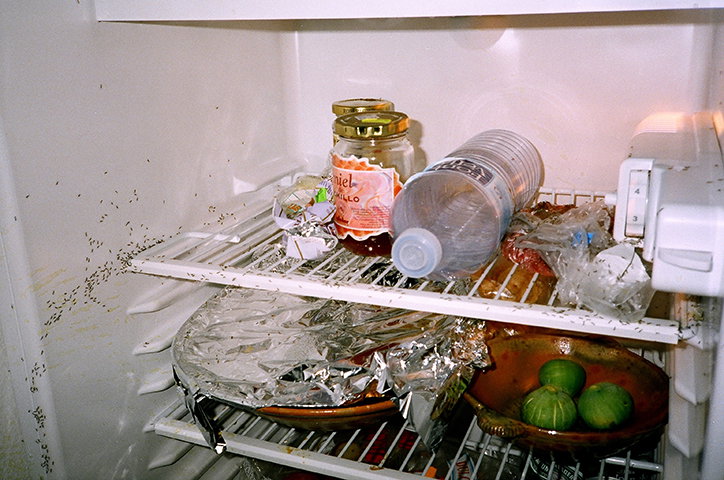 OlivierDegorce-FridgeFoodSoul-EditionPatrickFrey-Publication-itsnicethat-01.jpg