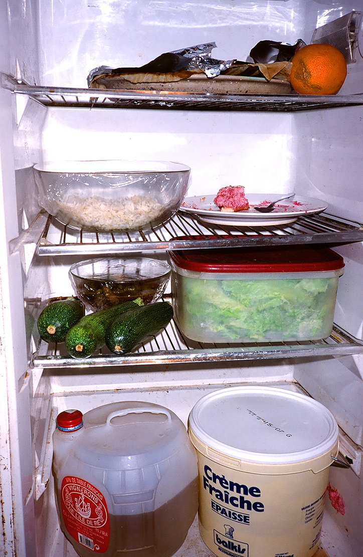 OlivierDegorce-FridgeFoodSoul-EditionPatrickFrey-Publication-itsnicethat-02.jpg