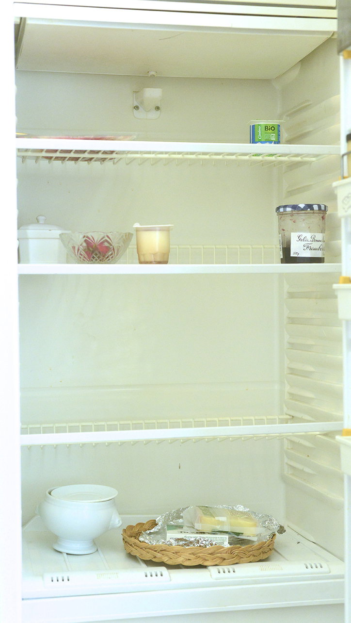 OlivierDegorce-FridgeFoodSoul-EditionPatrickFrey-Publication-itsnicethat-04.jpg