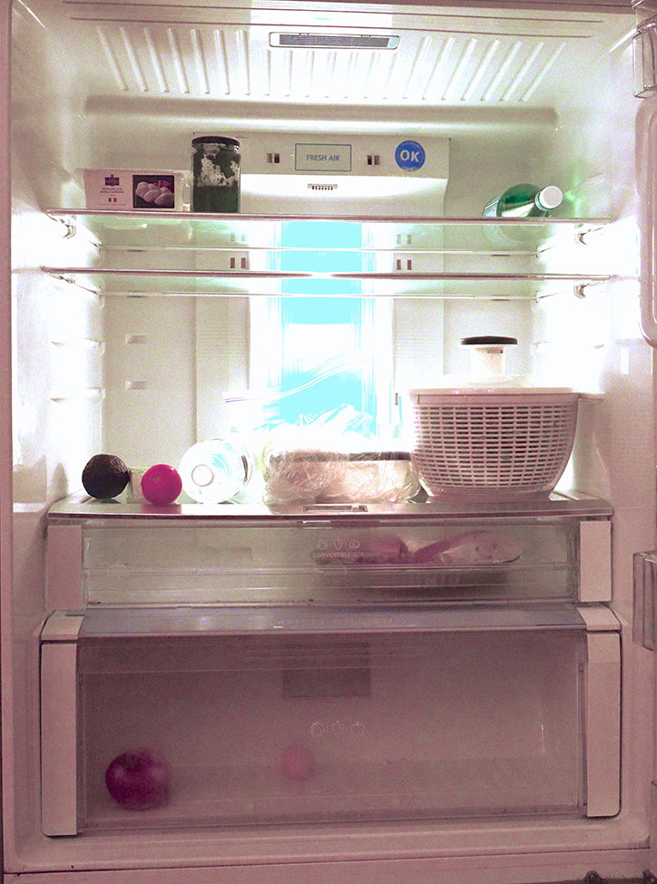 OlivierDegorce-FridgeFoodSoul-EditionPatrickFrey-Publication-itsnicethat-05.jpg