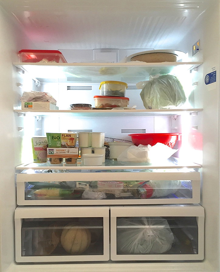 OlivierDegorce-FridgeFoodSoul-EditionPatrickFrey-Publication-itsnicethat-06.jpg