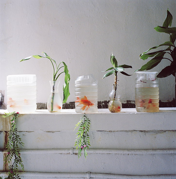 xiaoxiao-xu-photography-itsnicethat-2.jpg