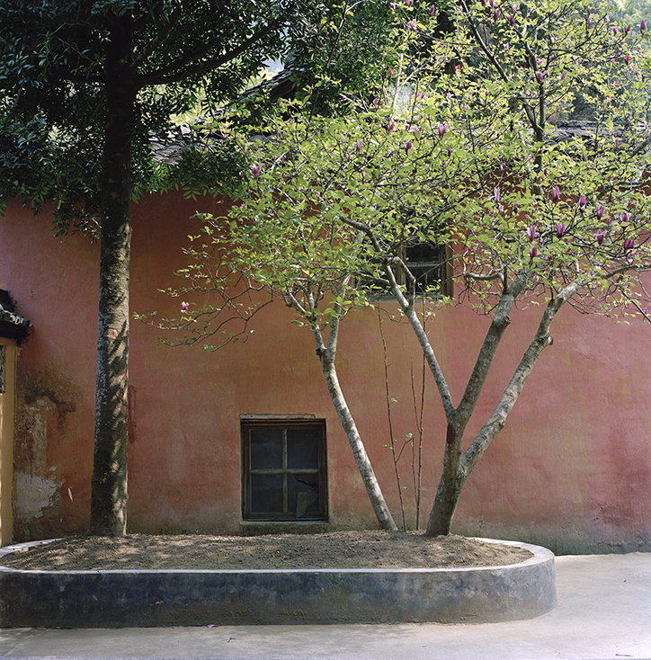 xiaoxiao-xu-photography-itsnicethat-11.jpg