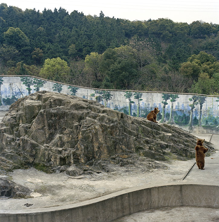 xiaoxiao-xu-photography-itsnicethat-17.jpg