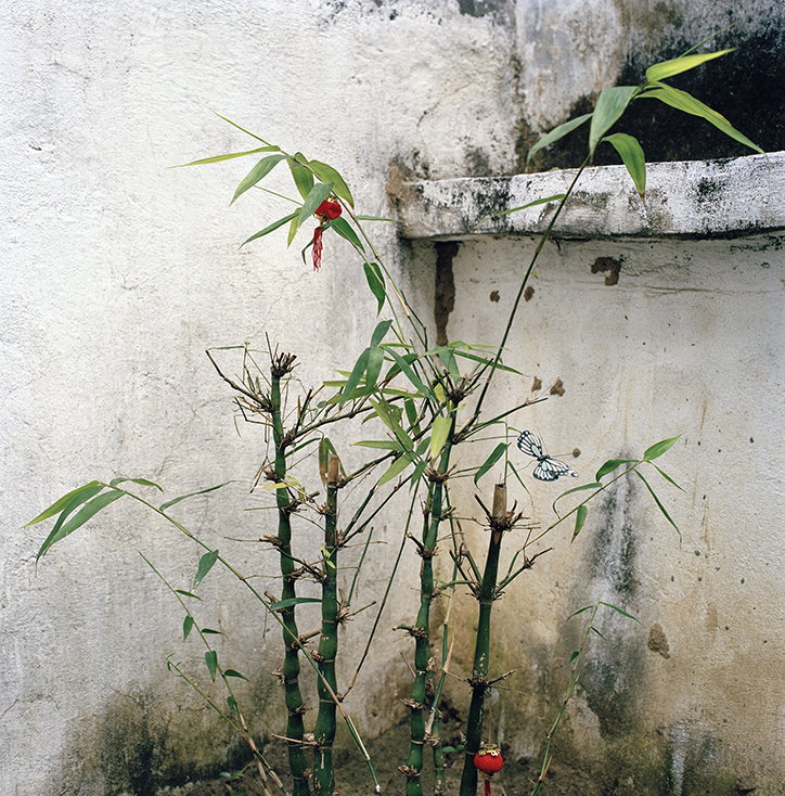 xiaoxiao-xu-photography-itsnicethat-26.jpg