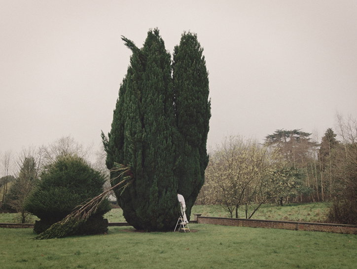 WillHooper-Idles-Colossus-Film-ItsNiceThat-1.jpg