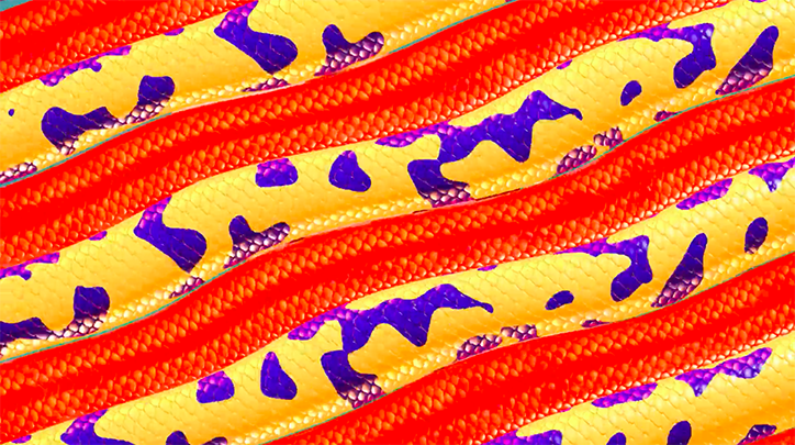 joseph-melhuish-animation-itsnicethat-1.png