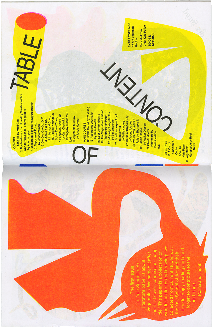 PolinaVasilyeva-YSOA-GraphicDesign-itsnicethat-05.png