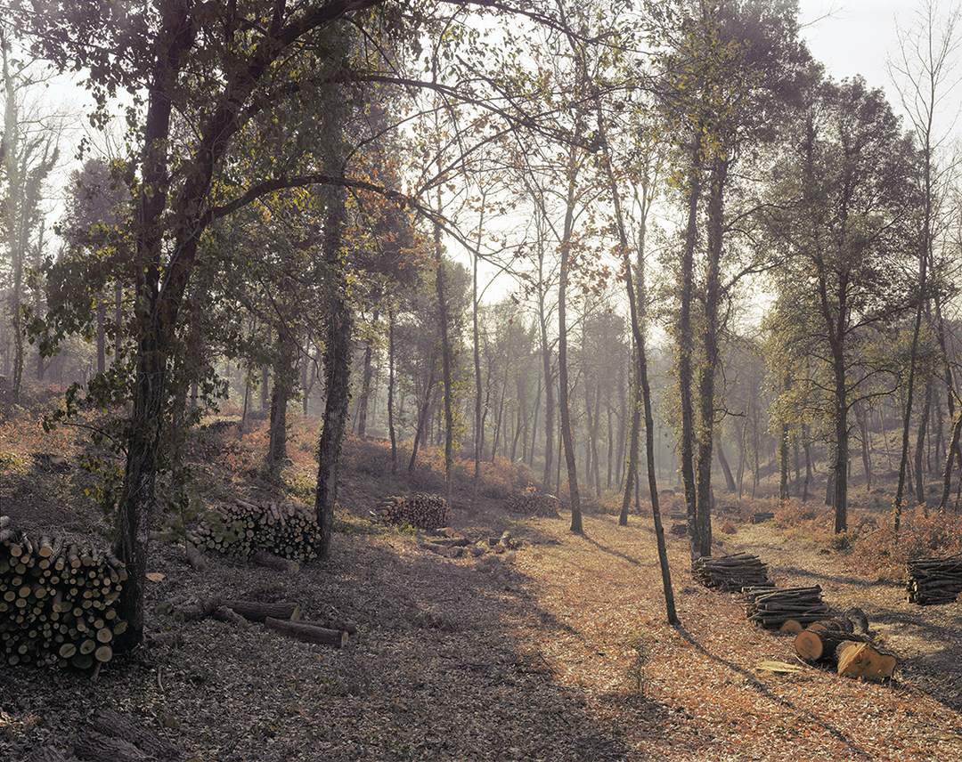 joel_meyerowitz_where_i_find_myself_photography_laurence_king_itsnicethat8.png
