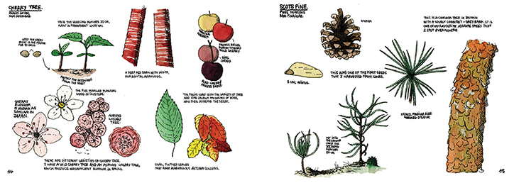 thibaud-herem-raising-a-forest-illustration-itsnicethat-Cherrytree.png