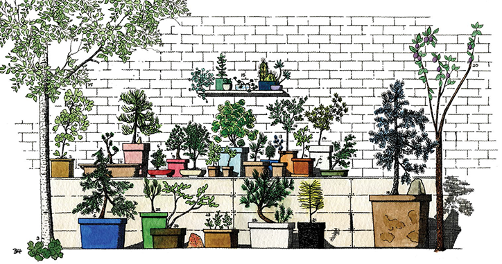 thibaud-herem-raising-a-forest-illustration-itsnicethat_summer.png