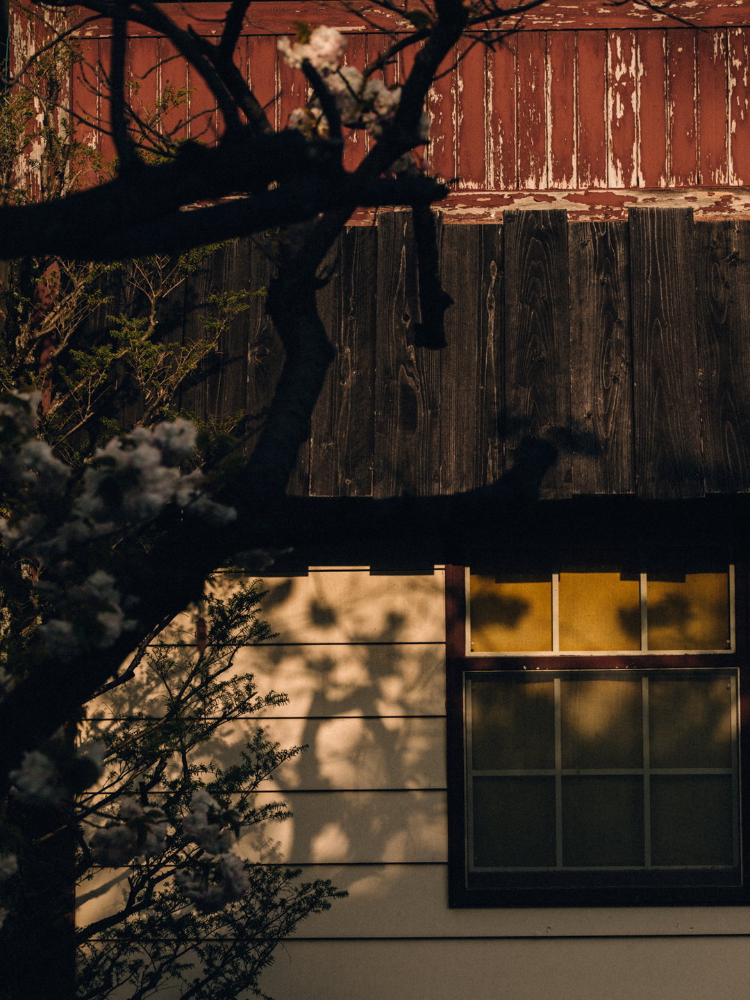 _51A5459.jpg