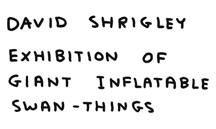 shrigley-swanthing-itsnicethat2.jpg