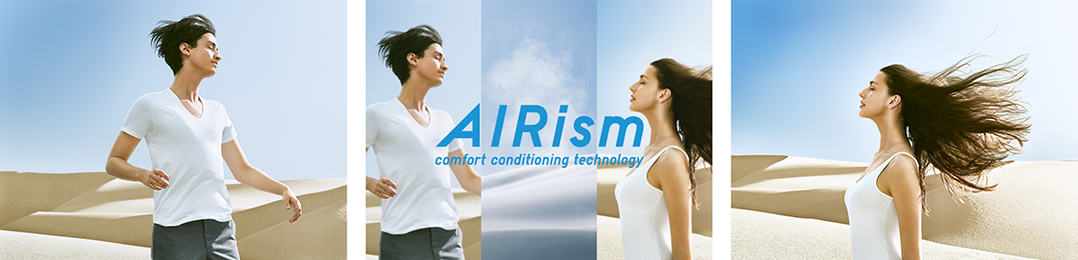 AIRismVisuals.png