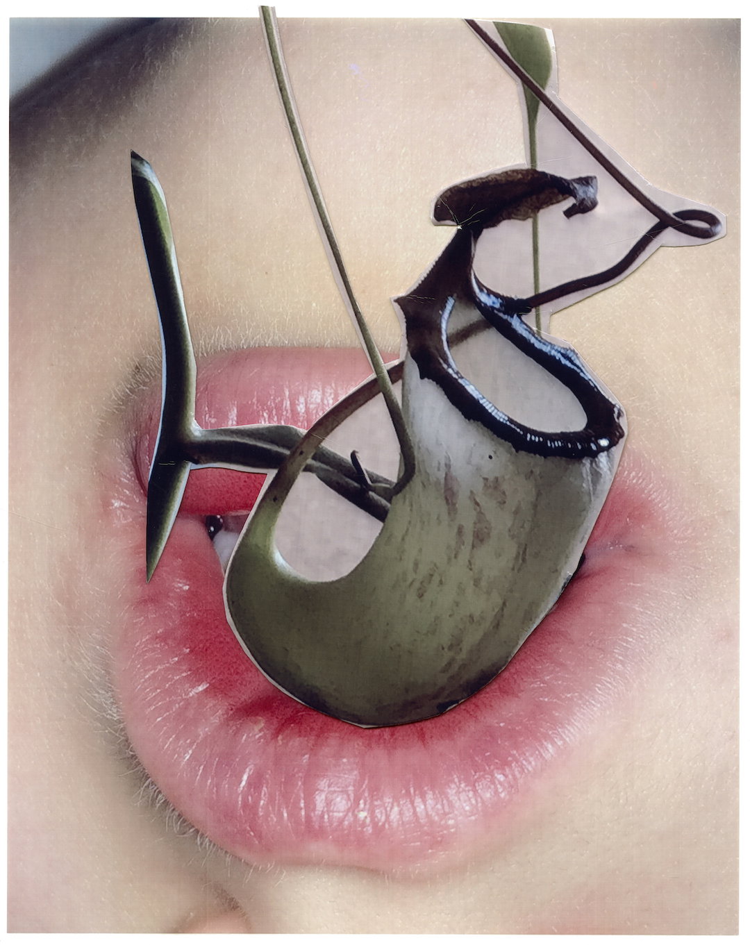 Viviane-Sassen-nepenthes-alata-Hot-Mirror-Photography-itsnicethat-03.jpg