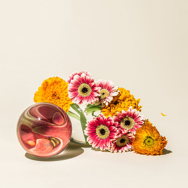SuzanneSaroff-Photography-itsnicethat-02.jpg