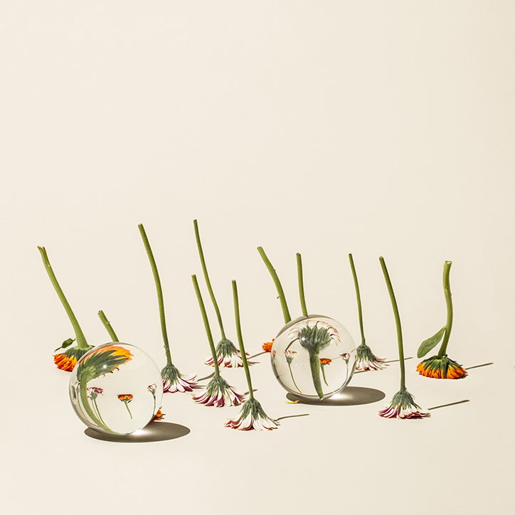 SuzanneSaroff-Photography-itsnicethat.jpg