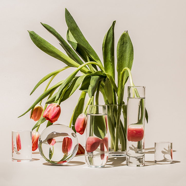 SuzanneSaroff-Tulips-Photography-itsnicethat.jpg